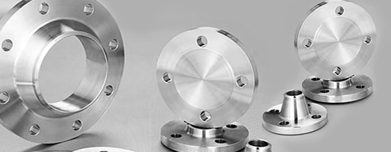 Hastelloy C22 Flanges